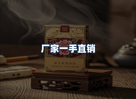专业团队办公环境